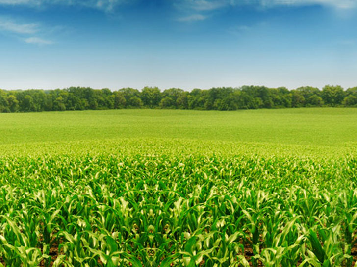 優(yōu)耐美完成北京聯(lián)創(chuàng)種業(yè)有限公司實(shí)驗(yàn)室項(xiàng)目