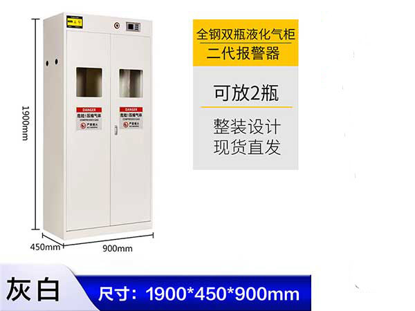 全鋼雙瓶液化氣柜