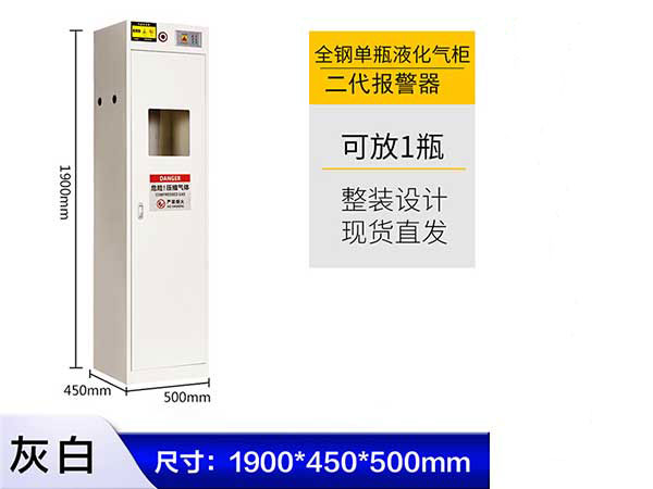 全鋼單瓶液化氣柜