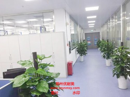 實驗室裝修規(guī)劃