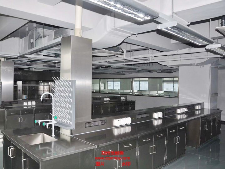 中小企業(yè)食品實(shí)驗(yàn)室建設(shè)